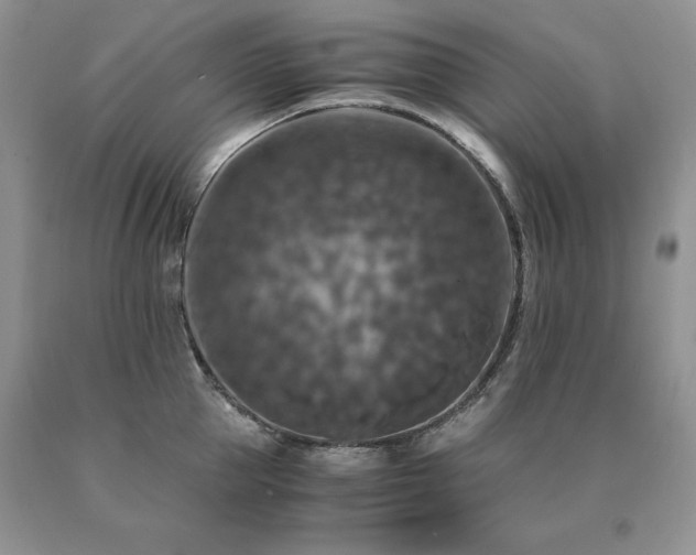 X0000091060953200708061239