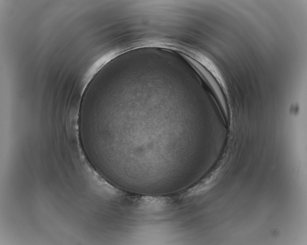 X0000091060954200708061239
