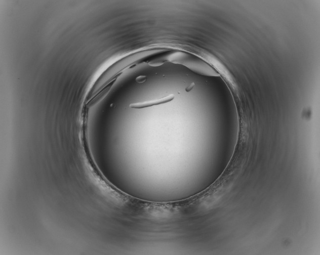 X0000091060955200708061239