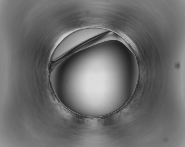 X0000091060956200708061239