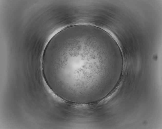 X0000091060957200708061239