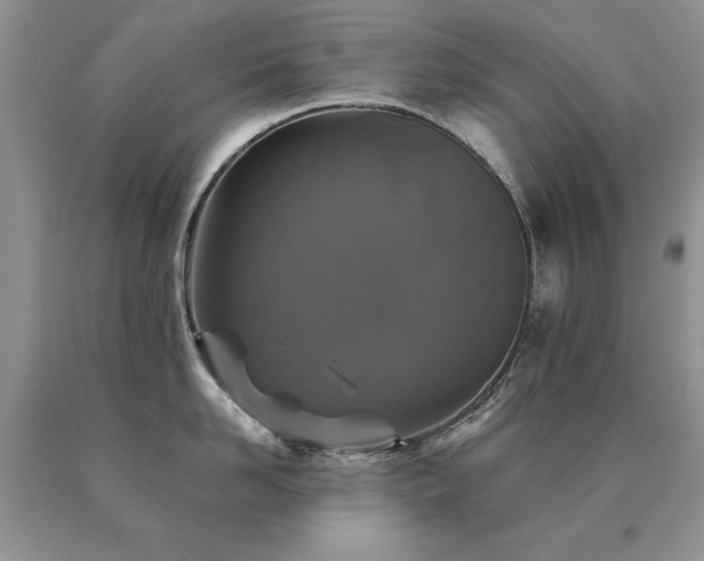 X0000091060958200708061239
