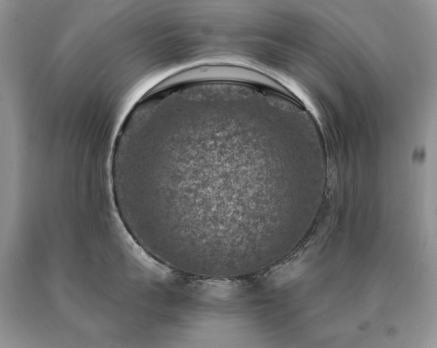 X0000091060959200708061239