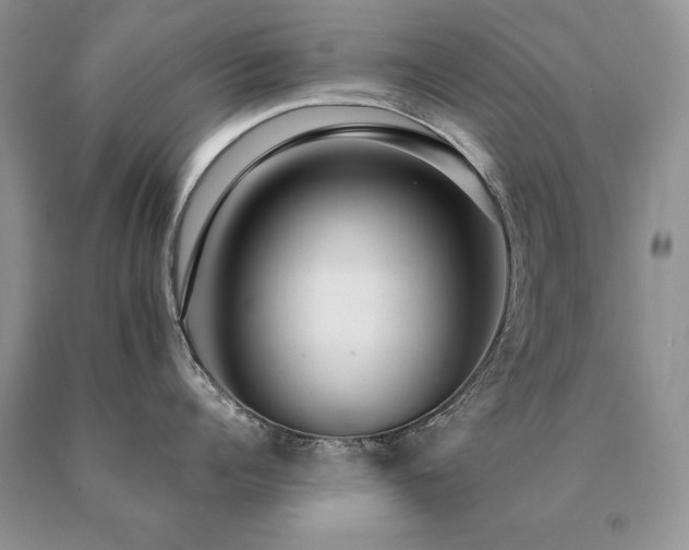 X0000091060960200708061239