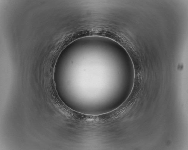 X0000091060961200708061239
