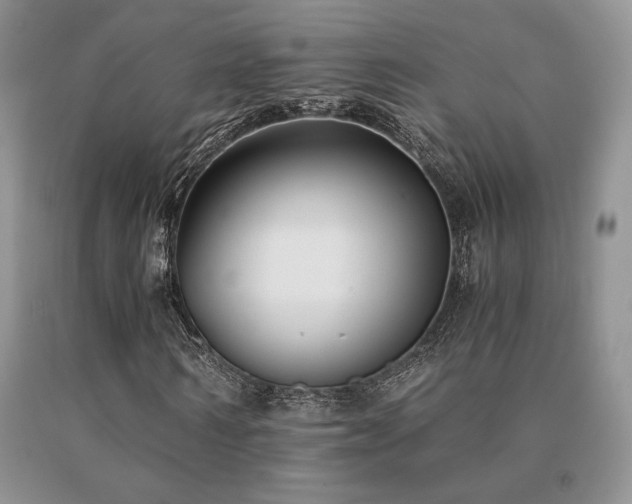 X0000091060962200708061239