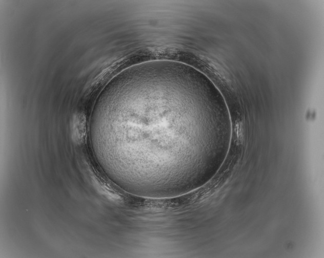 X0000091060963200708061239