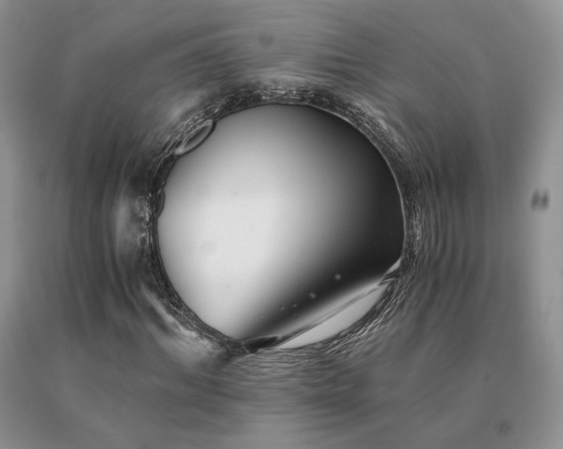 X0000091060964200708061239