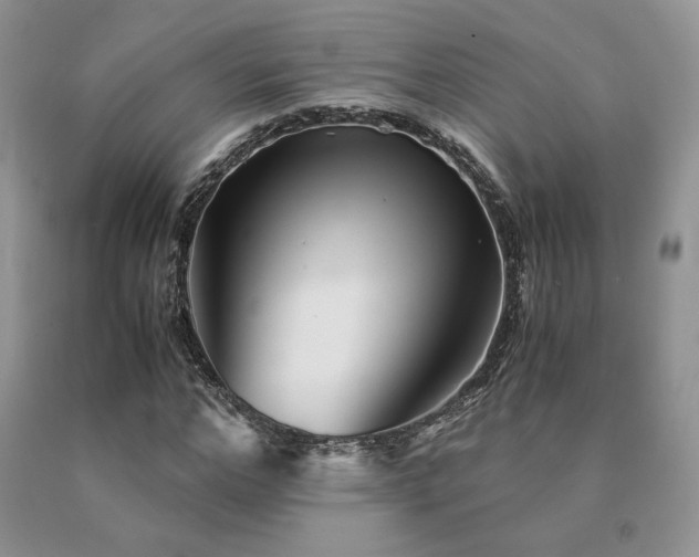 X0000091060968200708061239