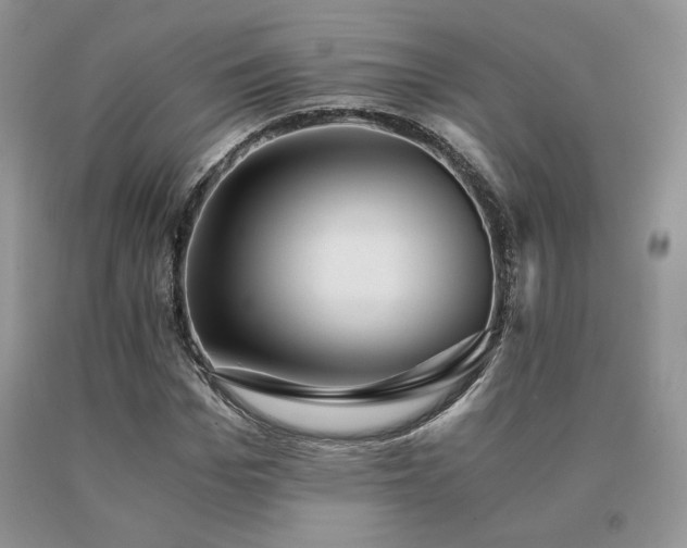 X0000091060969200708061239