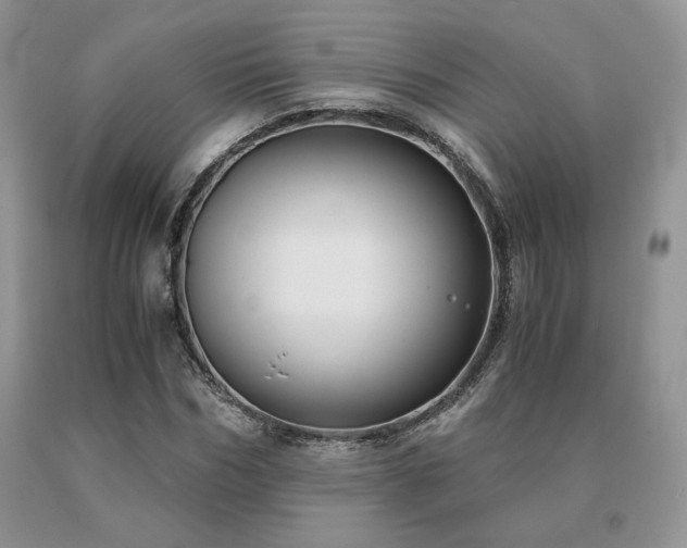X0000091060970200708061239