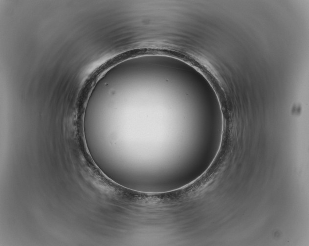 X0000091060971200708061239