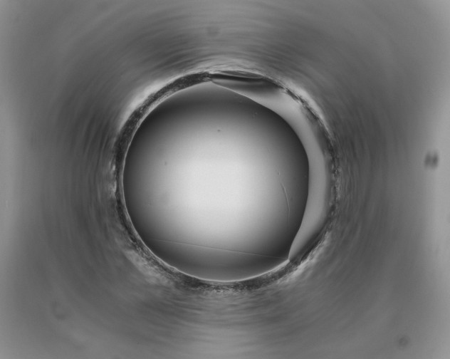 X0000091060973200708061239