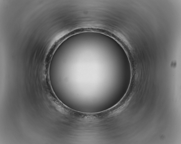 X0000091060974200708061239