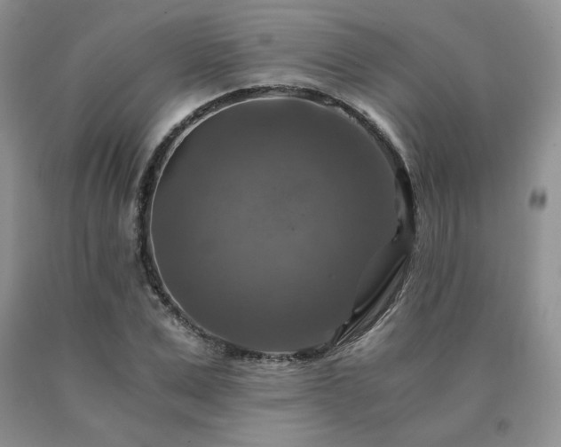 X0000091060975200708061239