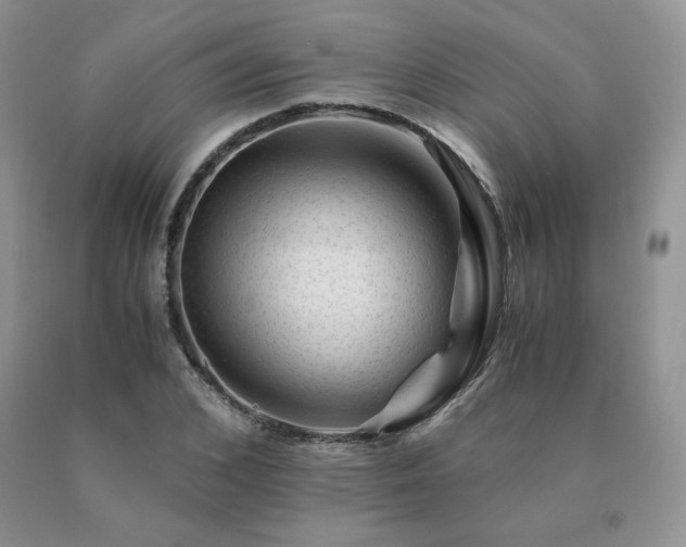 X0000091060976200708061238
