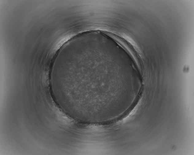 X0000091060977200708061238