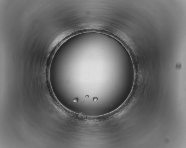 X0000091060978200708061238