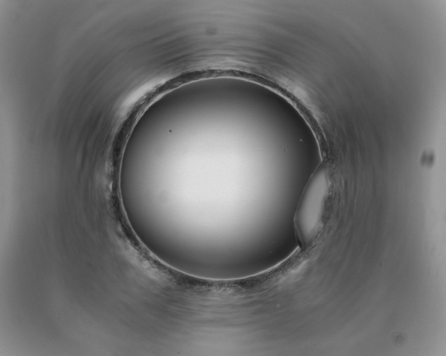 X0000091060979200708061238