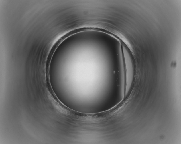 X0000091060980200708061238