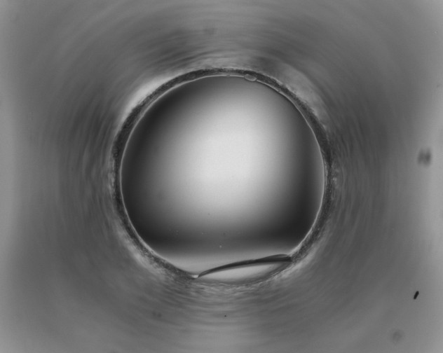 X0000091060981200708061238