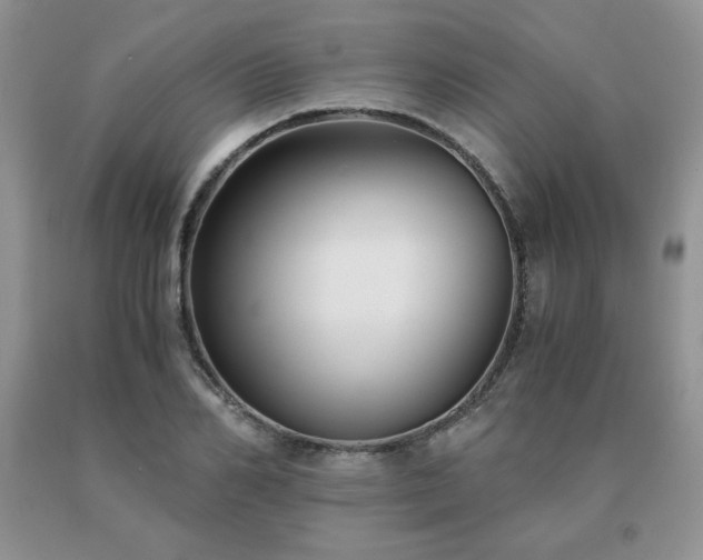 X0000091060982200708061238