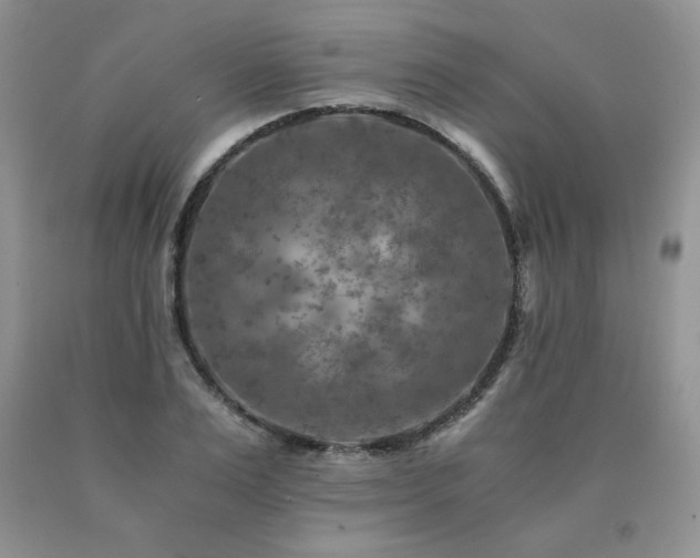 X0000091060983200708061238