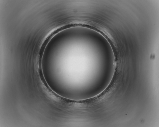 X0000091060984200708061238
