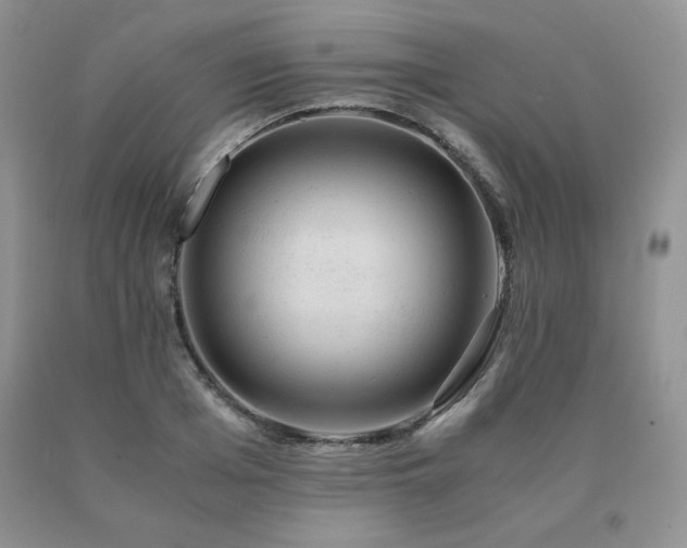 X0000091060985200708061238