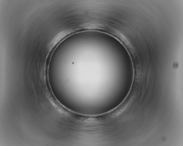 X0000091060986200708061238
