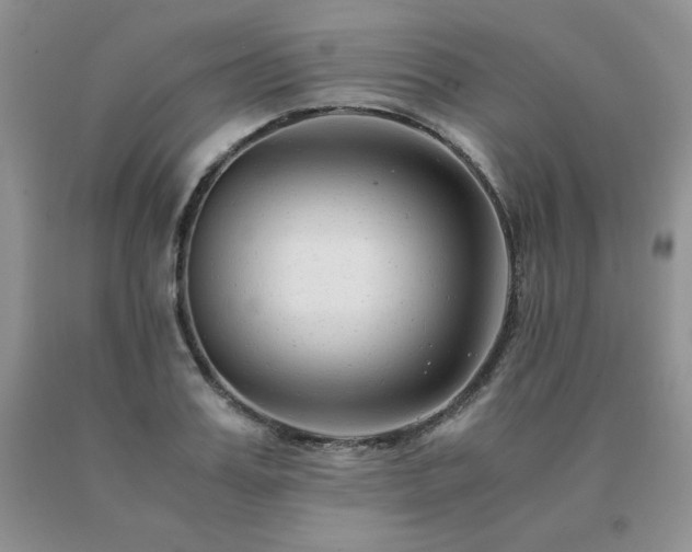 X0000091060987200708061238