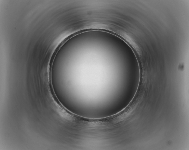 X0000091060988200708061238