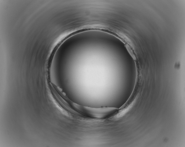 X0000091060989200708061238