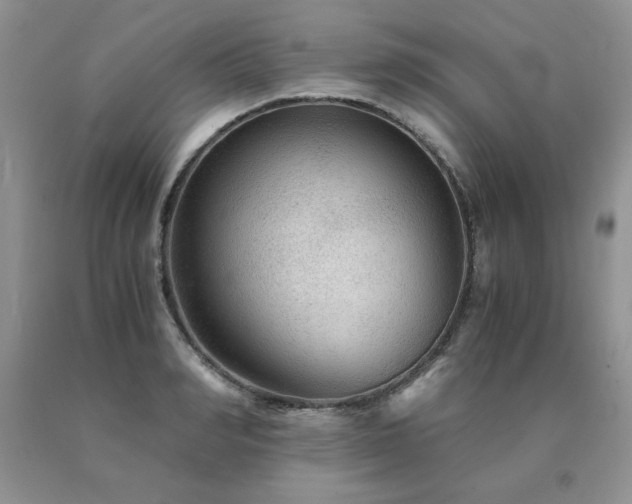 X0000091060990200708061238