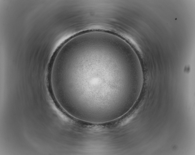X0000091060991200708061238