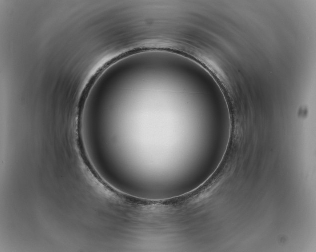 X0000091060992200708061238