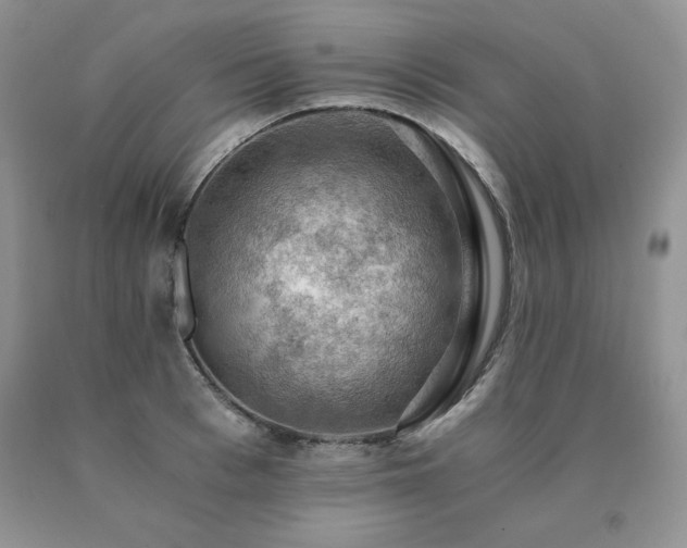X0000091060993200708061238