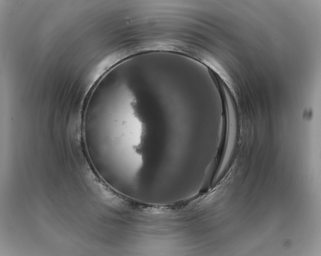 X0000091060994200708061238