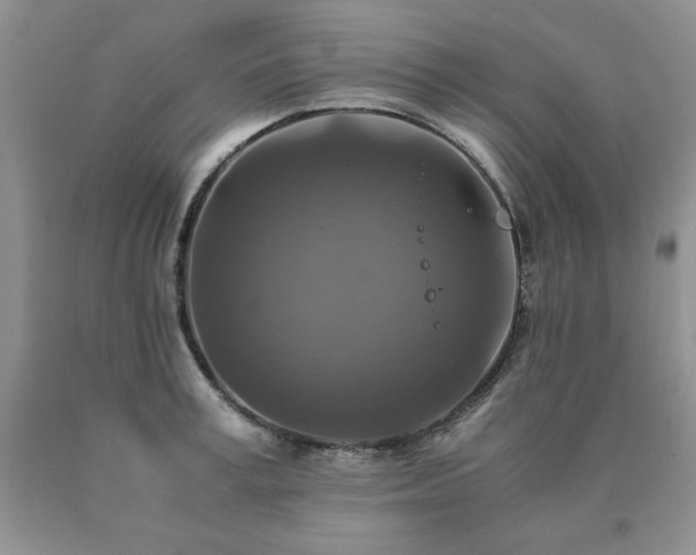 X0000091060995200708061238
