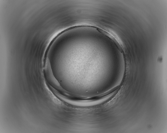 X0000091060996200708061238