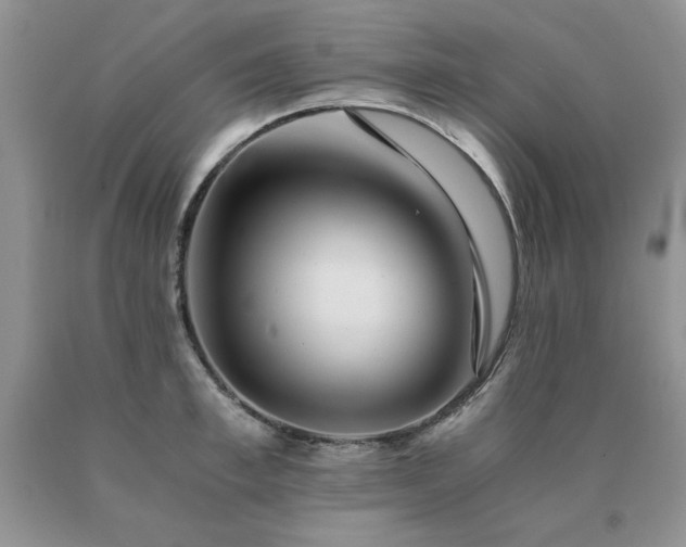 X0000091060997200708061238