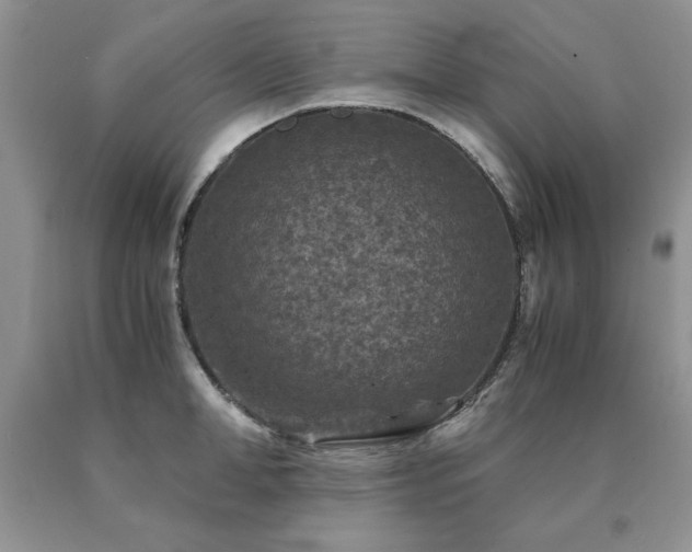 X0000091060998200708061238