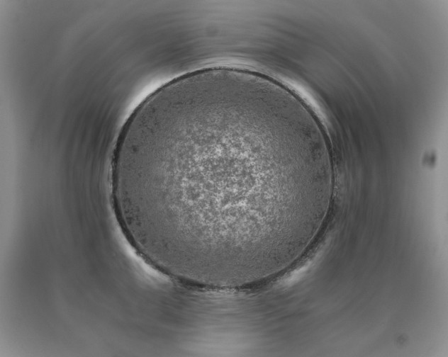 X0000091060999200708061238