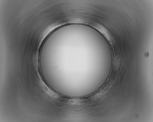 X0000091061000200708061238