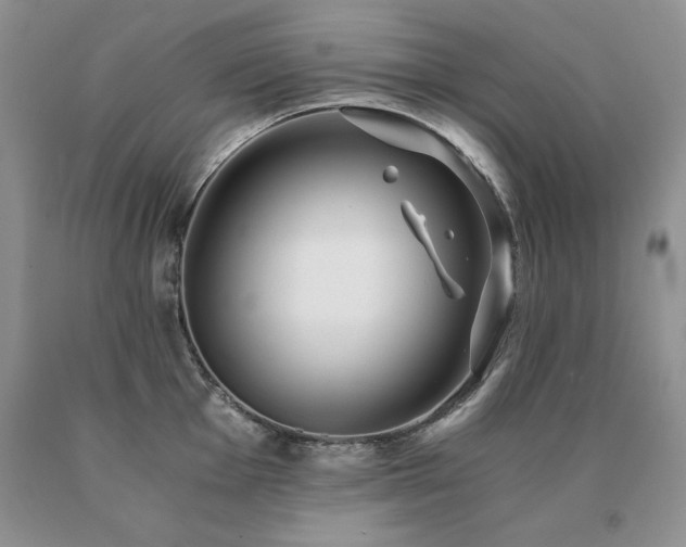 X0000091061001200708061238