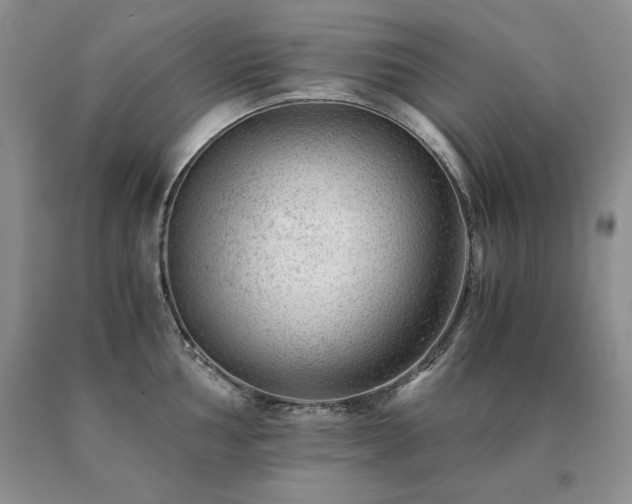 X0000091061002200708061238
