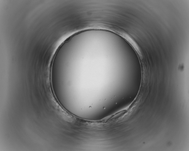 X0000091061004200708061238