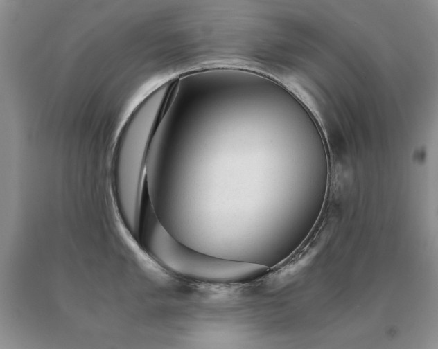 X0000091061005200708061238