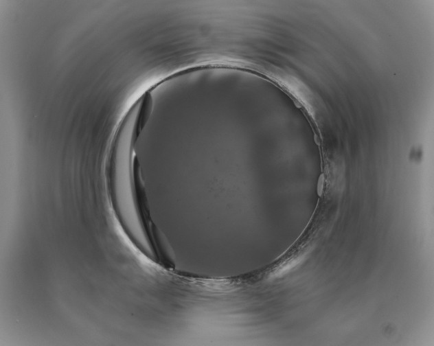 X0000091061007200708061238