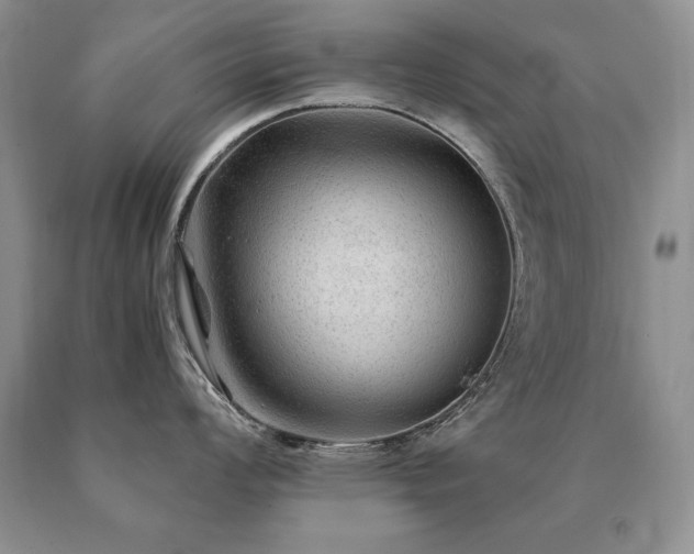 X0000091061008200708061238